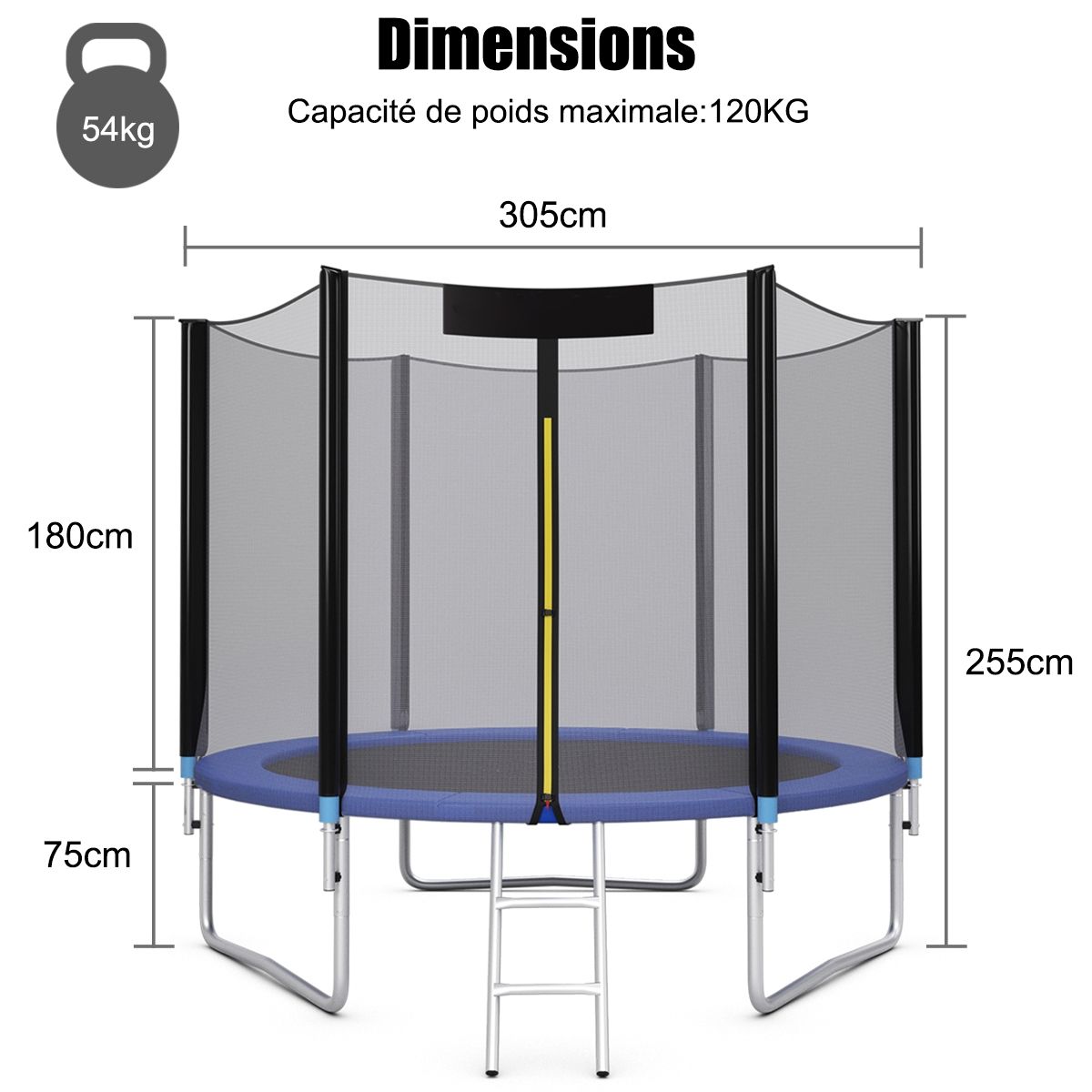 Garden Trampoline Ø 305cm with Safety Net Entrance Door Ladder Black and Blue -