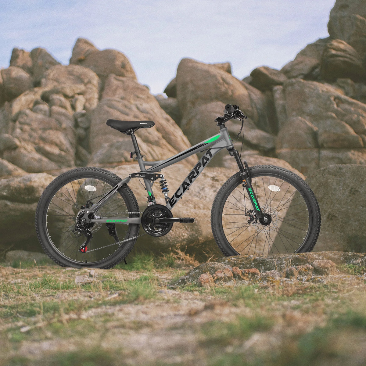 Ecarpat 26 in Mountain Bike, 21 - Speed Bike with Dual Suspension, High - Product image 21