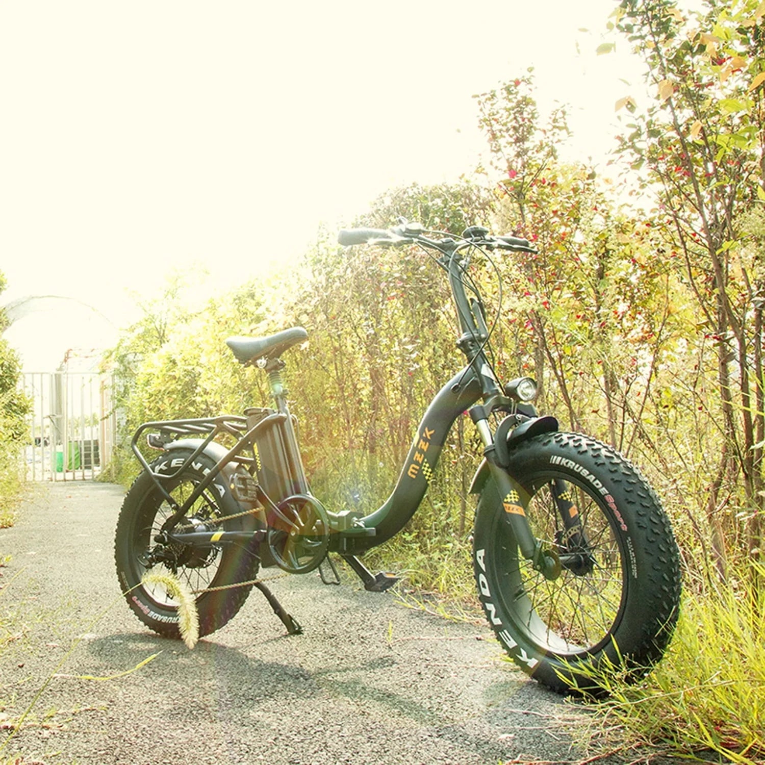 Folding Electric Bike for Adults, Ebikes for Adults 7 Speed Powerful 750W BAFANG Motor 20" 4.0 Fat Tire - Product image 7