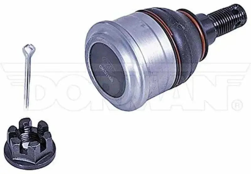Dorman BJ59435XL Ball Joint